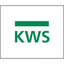KWS upevňovacie príslušenstvo P3 - párové na sklo, M 8 x 55, ušľachtilá oceľ